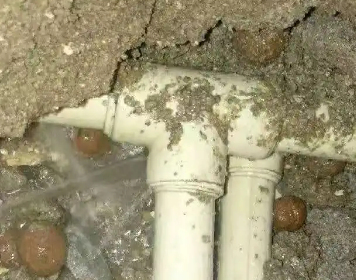 牧野测漏水多少钱