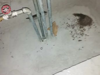 牧野卫生间测漏水价格明细